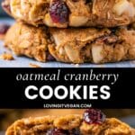 Vegan Oatmeal Cranberry Cookies
